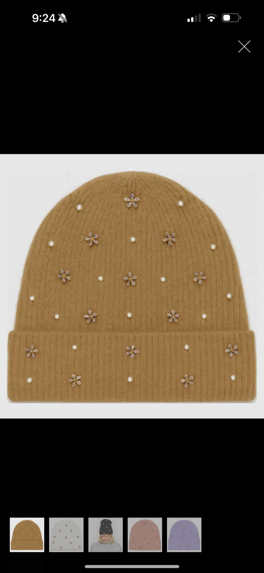 Iced Out Beanie