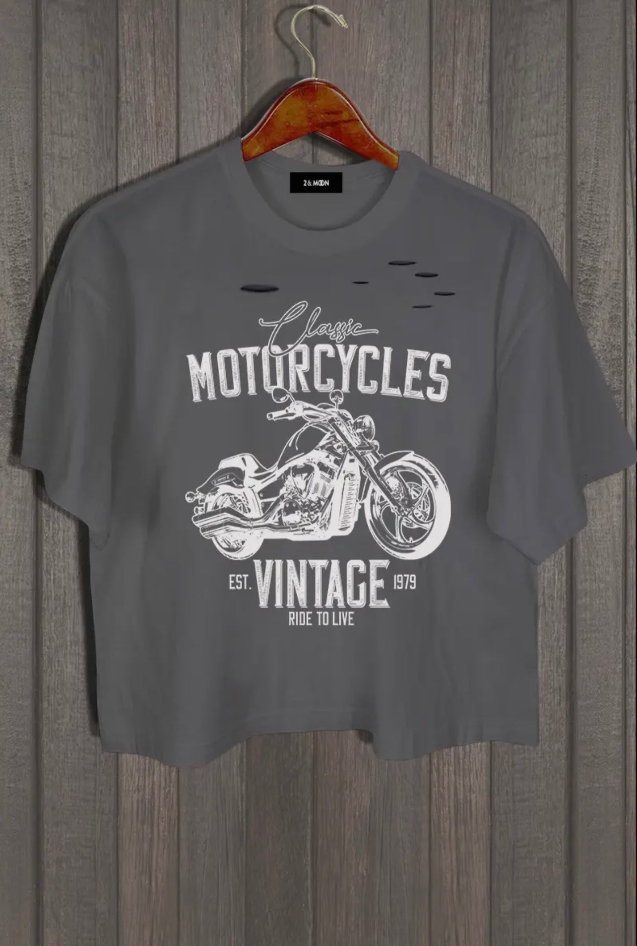 Motorcycle Graphic